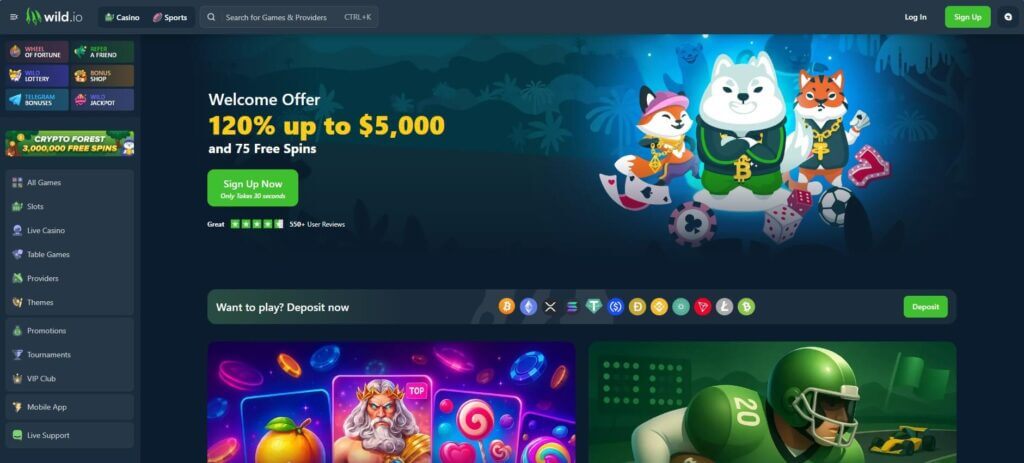 Die Wild Casino Webseite ist sehr modern gehalten